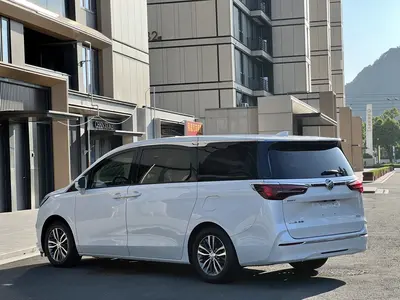 别克 GL8 2021款 ES陆尊 653T 舒适型 thumbnail 6