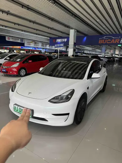 特斯拉 Model 3 2022款 后轮驱动版