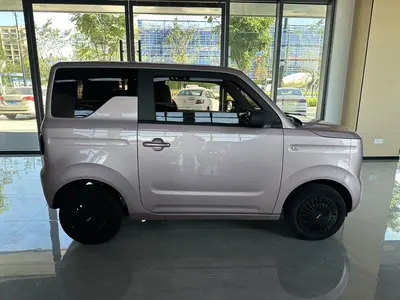 吉利汽车 熊猫 2024款 mini 200km 耐力熊 thumbnail 4