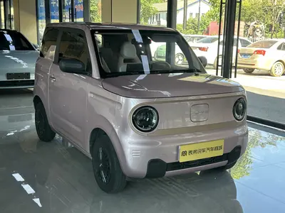 吉利汽车 熊猫 2024款 mini 200km 耐力熊 thumbnail 7