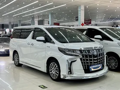 丰田 埃尔法 2019款 双擎 2.5L 尊贵版 thumbnail 2