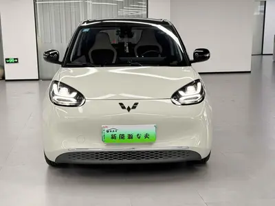 五菱汽车 五菱缤果 2023款 333km 悦享款 thumbnail 3