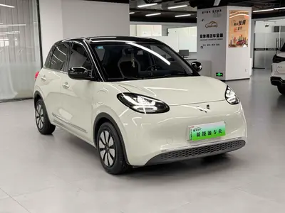 五菱汽车 五菱缤果 2023款 333km 悦享款 thumbnail 4