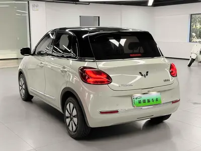 五菱汽车 五菱缤果 2023款 333km 悦享款 thumbnail 9