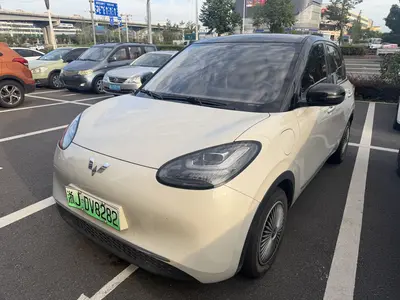 五菱汽车 五菱缤果 2023款 333km 悦享款 thumbnail 1
