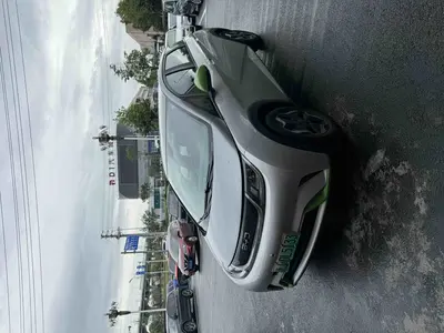 BYD Dolphin 2021 405km Fashion