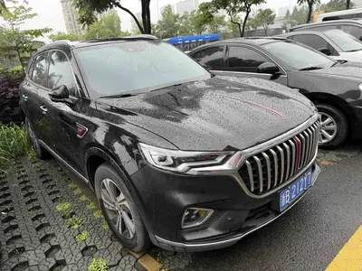 红旗 HS5 2019款 2.0T 智联旗享版 thumbnail 3