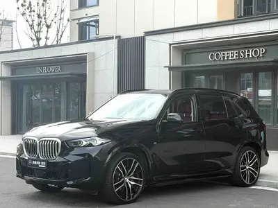 BMW X5 2025 xDrive 30Li PrestigeMM Sport Night thumbnail 4