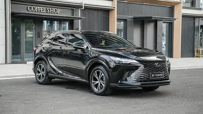 雷克萨斯 RX 2025款 350h 两驱舒享版 thumbnail 4