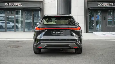 雷克萨斯 RX 2025款 350h 两驱舒享版 thumbnail 6