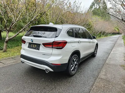 BMW X1 2020 sDrive25Li Leading