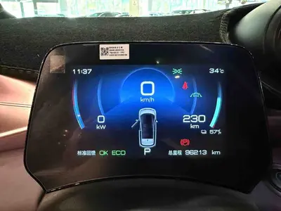 比亚迪 海豚 2021款 401km 骑士版