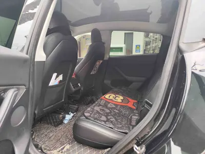 特斯拉 特斯拉Model Y 2021款 标准续航后驱版