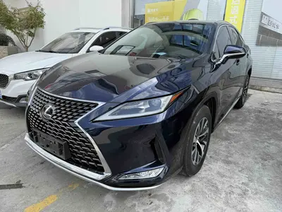 雷克萨斯 RX 2020款 300 两驱精英版 国VI thumbnail 2