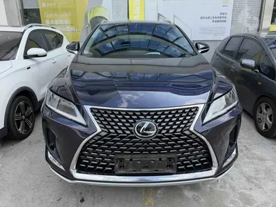 雷克萨斯 RX 2020款 300 两驱精英版 国VI thumbnail 3
