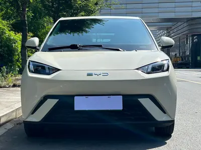 比亚迪 海鸥 2024款 荣耀版 405km 飞翔版 thumbnail 16