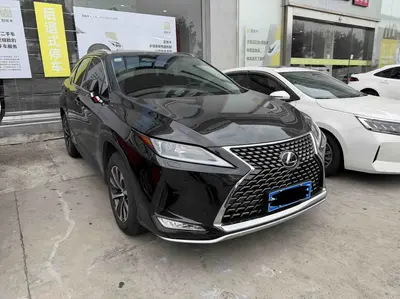 Lexus RX 2020 Facelift 300 2WD Elite thumbnail 3