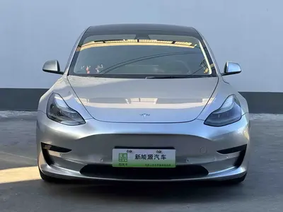 特斯拉 Model 3 2021款 改款 标准续航后驱升级版 3D1 thumbnail 3