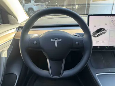 特斯拉 Model 3 2021款 改款 标准续航后驱升级版 3D1 thumbnail 9
