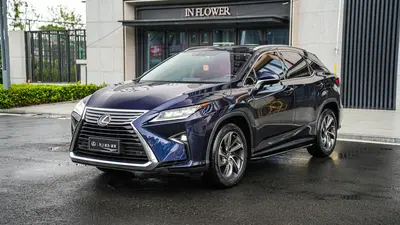 Lexus RX 2016 300 AWDClassic Elegance thumbnail 2