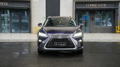 Lexus RX 2016 300 AWDClassic Elegance thumbnail 3