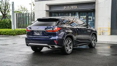 Lexus RX 2016 300 AWDClassic Elegance thumbnail 5