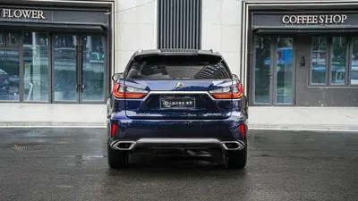 Lexus RX 2016 300 AWDClassic Elegance thumbnail 6