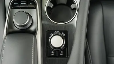 Lexus RX 2016 300 AWDClassic Elegance thumbnail 21