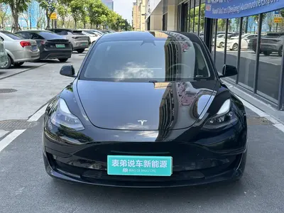 特斯拉 Model 3 2021款 标准续航后驱升级版 thumbnail 3