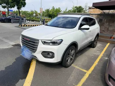 哈弗 H6 2017款 红标 2.0T 自动两驱智尚型