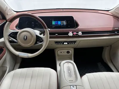 欧拉 好猫 2023款 401km标准续航 豪华型 磷酸铁锂 thumbnail 8