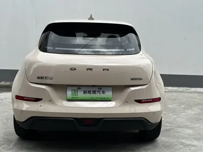 欧拉 好猫 2023款 401km标准续航 豪华型 磷酸铁锂 thumbnail 13