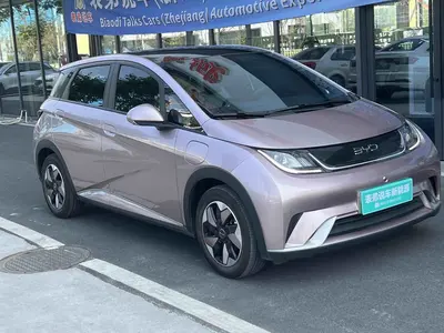 BYD Dolphin 2024 Honor 420km Fashion thumbnail 4