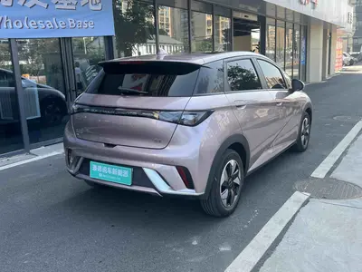 BYD Dolphin 2024 Honor 420km Fashion thumbnail 6