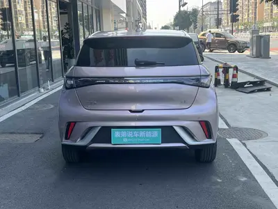 BYD Dolphin 2024 Honor 420km Fashion thumbnail 7