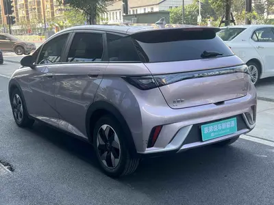 BYD Dolphin 2024 Honor 420km Fashion