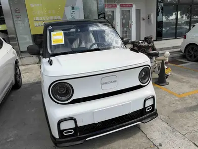 Geely Panda 2025 210km Kadin thumbnail 3